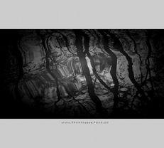 伤感死亡图片,死亡瞬间的心灵挽歌