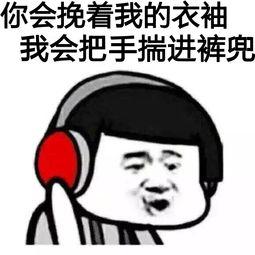 表情包唱群歌,趣味横生的网络文化盛宴