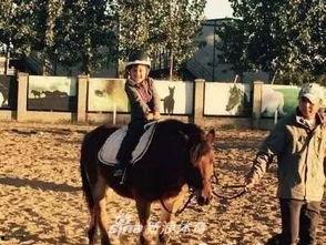明星爱骑马,探寻明星们的骑马情缘