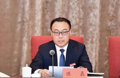 陈磊个人资料简介,才华横溢的青年才俊，揭秘他的成长之路