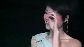 王菲人间专辑照片,穿越时光的旋律与光影交织